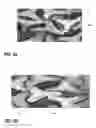 Fig. 04 - Manufacture of bi-component continuous filaments and articles made therefrom