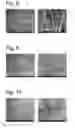 Fig. 04 - Complexes of cellulose fibers and inorganic particles