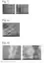 Fig. 05 - Complexes of cellulose fibers and inorganic particles
