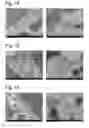 Fig. 06 - Complexes of cellulose fibers and inorganic particles