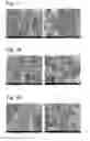 Fig. 07 - Complexes of cellulose fibers and inorganic particles