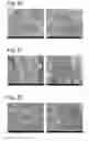Fig. 08 - Complexes of cellulose fibers and inorganic particles