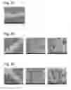 Fig. 09 - Complexes of cellulose fibers and inorganic particles
