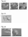 Fig. 10 - Complexes of cellulose fibers and inorganic particles