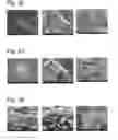 Fig. 12 - Complexes of cellulose fibers and inorganic particles