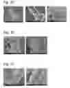 Fig. 13 - Complexes of cellulose fibers and inorganic particles