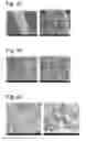 Fig. 14 - Complexes of cellulose fibers and inorganic particles