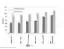 Fig. 04 - POST-COATING COMPOSITION FOR REINFORCEMENT FIBERS