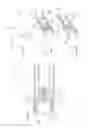 Fig. 06 - Composite structural component with tension/compression mechanical joint