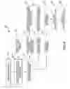 Fig. 06 - SEALED WEATHERSTRIP CORNER PADS