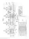 Fig. 02 - Control device for internal combustion engine