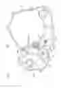 Fig. 07 - Internal combustion engine of saddle riding vehicle