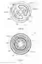 Fig. 07 - CARTRIDGE VANE PUMP
