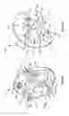Fig. 09 - Compact plastic Oldham coupler