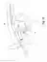 Fig. 08 - Brake pad for a disc brake