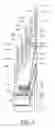 Fig. 08 - Bicycle sprocket assembly