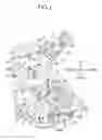 Fig. 02 - Internal combustion engine for a saddle riding vehicle