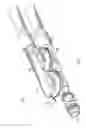 Fig. 02 - Bypass check valve and Venturi having same