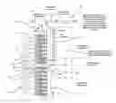 Fig. 01 - Advanced multi-layer active magnetic regenerator systems and processes for magnetocaloric liquefaction