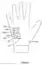 Fig. 02 - Wearable Device System and Method for Detection of Unintended Movement