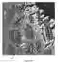 Fig. 06 - Low-noise spectroscopic imaging system