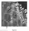 Fig. 08 - Low-noise spectroscopic imaging system