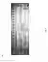 Fig. 07 - Integrated sensor for the rapid identification of bacteria using ISFETS