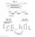 Fig. 03 - Tandem mass spectrometer