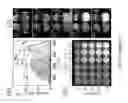 Fig. 08 - SYSTEM AND METHOD FOR VISUALIZING CHEMICAL REACTIONS IN REAL TIME
