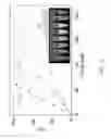 Fig. 17 - SYSTEM AND METHOD FOR VISUALIZING CHEMICAL REACTIONS IN REAL TIME