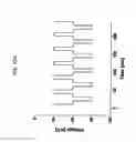 Fig. 28 - Rapid conductance based ion channel analysis