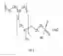 Fig. 09 - Device and methods of using device for detection of hyperammonemia