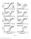 Fig. 06 - BINDING ASSAYS AND METHOD FOR PROBING ANTIBODY FUNCTION WITH FC BINDING MULTIMERS