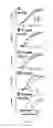 Fig. 07 - BINDING ASSAYS AND METHOD FOR PROBING ANTIBODY FUNCTION WITH FC BINDING MULTIMERS