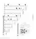 Fig. 22 - BINDING ASSAYS AND METHOD FOR PROBING ANTIBODY FUNCTION WITH FC BINDING MULTIMERS
