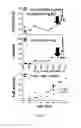 Fig. 23 - BINDING ASSAYS AND METHOD FOR PROBING ANTIBODY FUNCTION WITH FC BINDING MULTIMERS