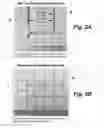 Fig. 03 - Passive MRI-guided tracking of metallic objects using artifact-reduced imaging with selective excitation