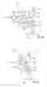 Fig. 08 - METHOD FOR PRODUCING REFLECTION-CORRECTED IMAGES, MICROSCOPE AND REFLECTION CORRECTION METHOD FOR CORRECTING DIGITAL MICROSCOPIC IMAGES