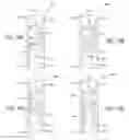 Fig. 32 - Variable power fluid cell optics for countering presbyopia and/or astigmatism