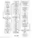 Fig. 46 - Variable power fluid cell optics for countering presbyopia and/or astigmatism