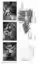 Fig. 03 - Graphene as an alignment layer and electrode for liquid crystal devices