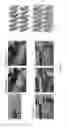 Fig. 04 - Graphene as an alignment layer and electrode for liquid crystal devices