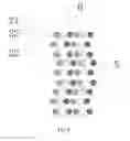 Fig. 08 - Display panel and mask for manufacturing process of display panel