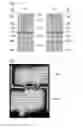 Fig. 09 - Liquid crystal display panel, liquid crystal display panel manufacturing method, and liquid crystal display panel manufacturing device