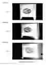 Fig. 41 - Projection screen