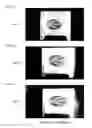Fig. 44 - Projection screen