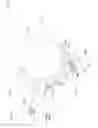 Fig. 03 - Printing liquids concentration