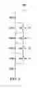 Fig. 04 - Adaptive body bias for voltage regulator