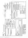 Fig. 02 - Non-transitory computer-readable recording medium storing computer-readable instructions for establishing wireless connection between terminal device and communication device