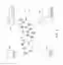 Fig. 06 - Data compression by using cognitive created dictionaries